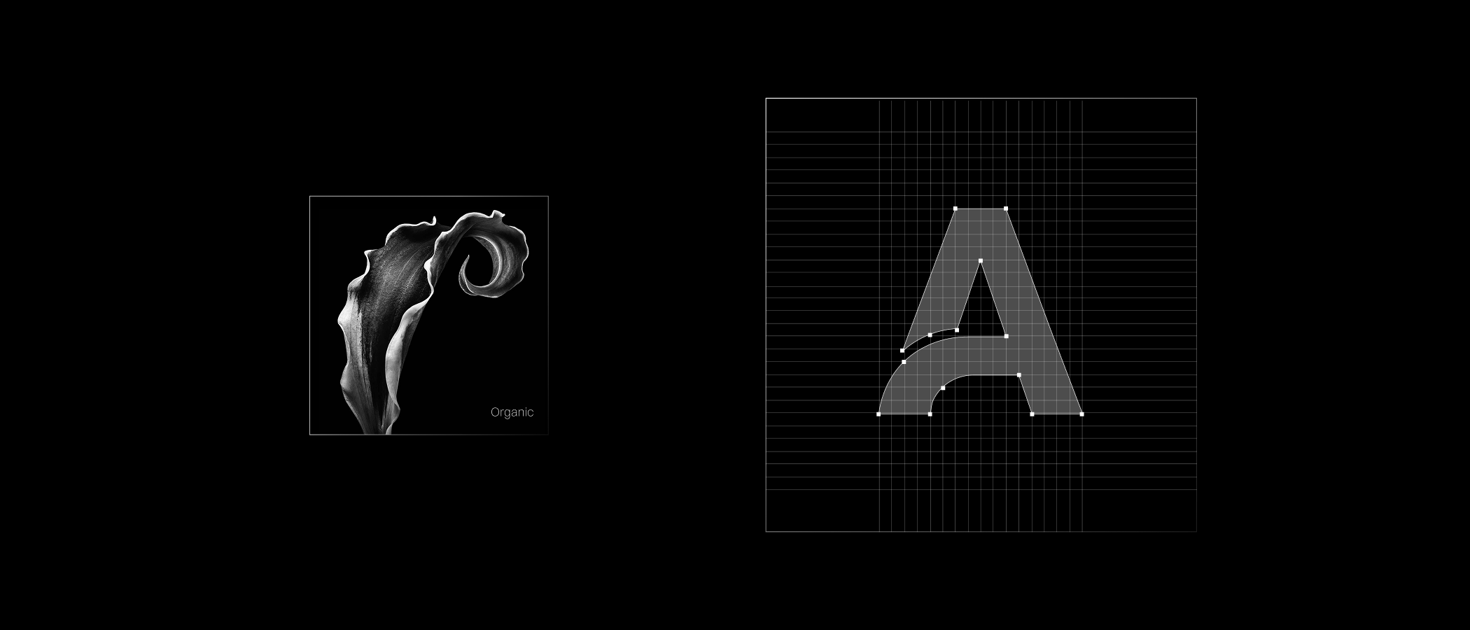Orange Shift — organic reference and letterform A on construction grid